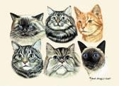 Cat Collage